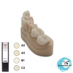 Permanent Crown Resin 3D Printers for permanent resin Crowns dental resin available at formlabs jordan